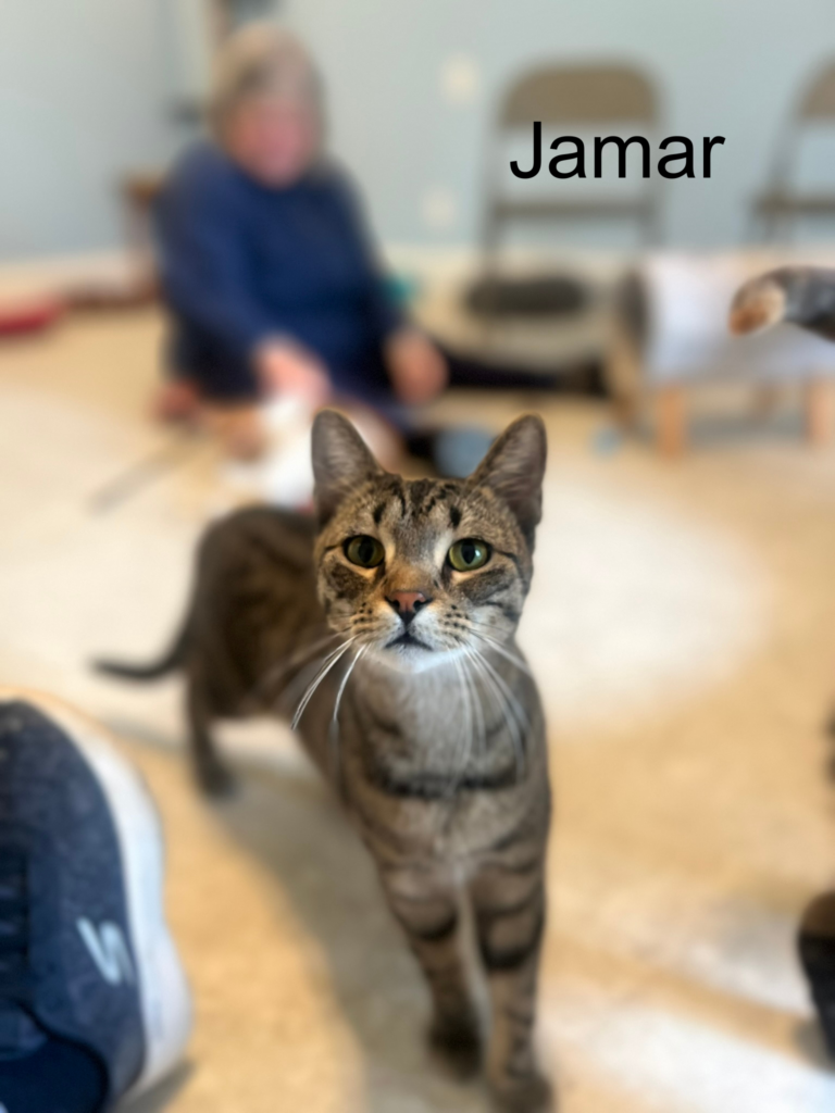 Jamar