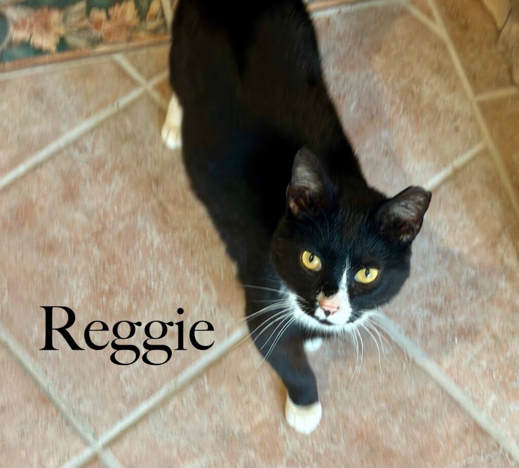 Reggie