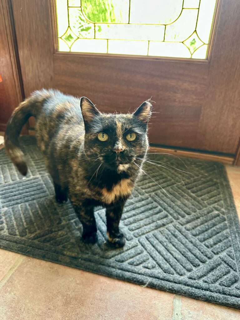 Clawdia